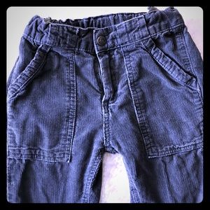 Boys Appaman corduroy cargo pants